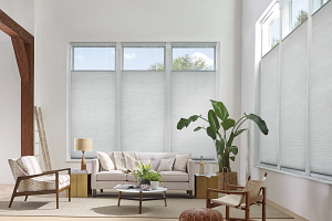 2019_APP_PV_TDBU_Vintage_Living Room_wPlant