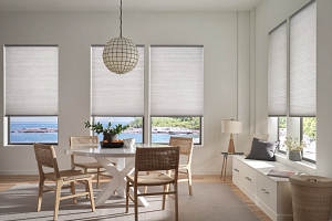 2023 APP PV Amity Grayscale DiningRoom
