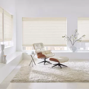 automated window treatments alpharetta ga